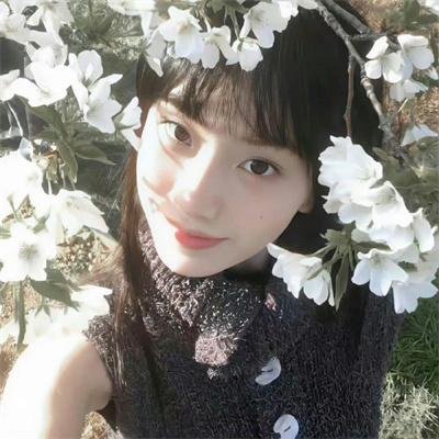 准妈妈四重奏